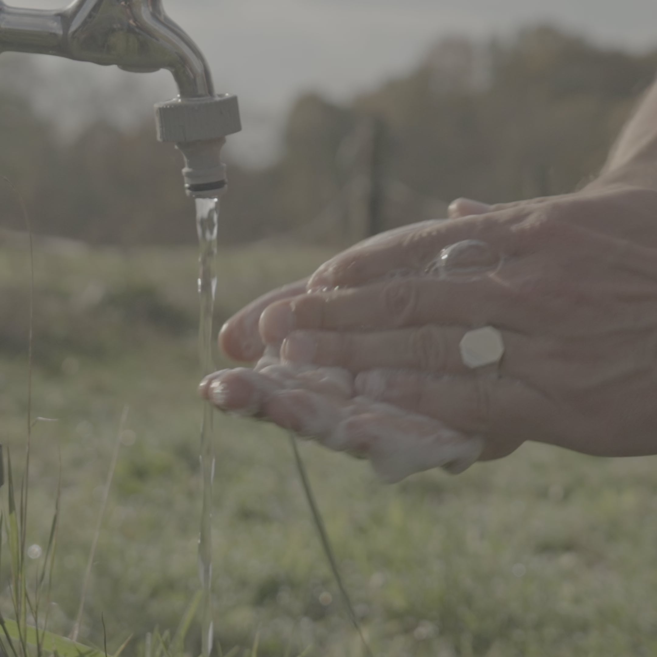 Hand & Body Wash, Peppermint & Dark Cedar